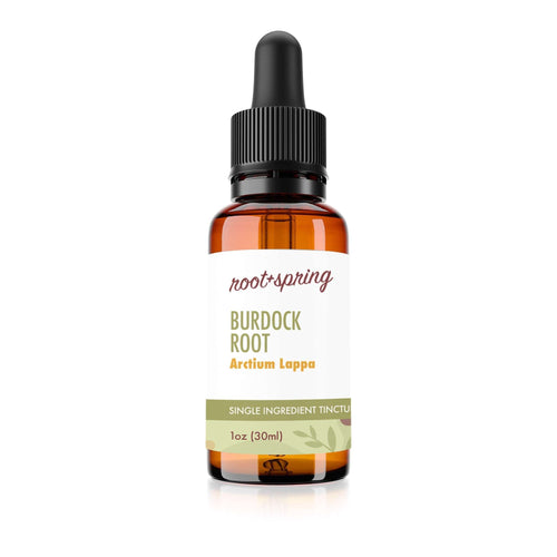 Bottle of Burdock Root  (Arctium Lappa) - Herbal Tincture by root + spring