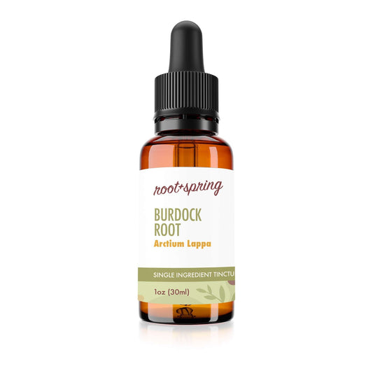 Bottle of Burdock Root  (Arctium Lappa) - Herbal Tincture by root + spring