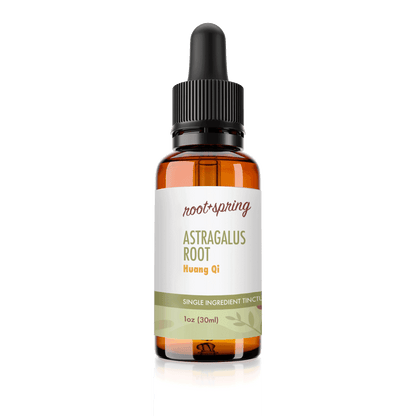 image of Astralagus Root Huang Qi Tincture by root+spring