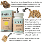 ingredients of Vital Energy Combo (Bu Zhong Yi Qi Wan) | by Lao Wei