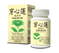 images of Chuan Xin Lian (Andrographis Blend) by Lao Wei