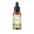 A 1 oz amber glass dropper bottle of Root+Spring Angelica Sinensis Tincture on a solid white background.