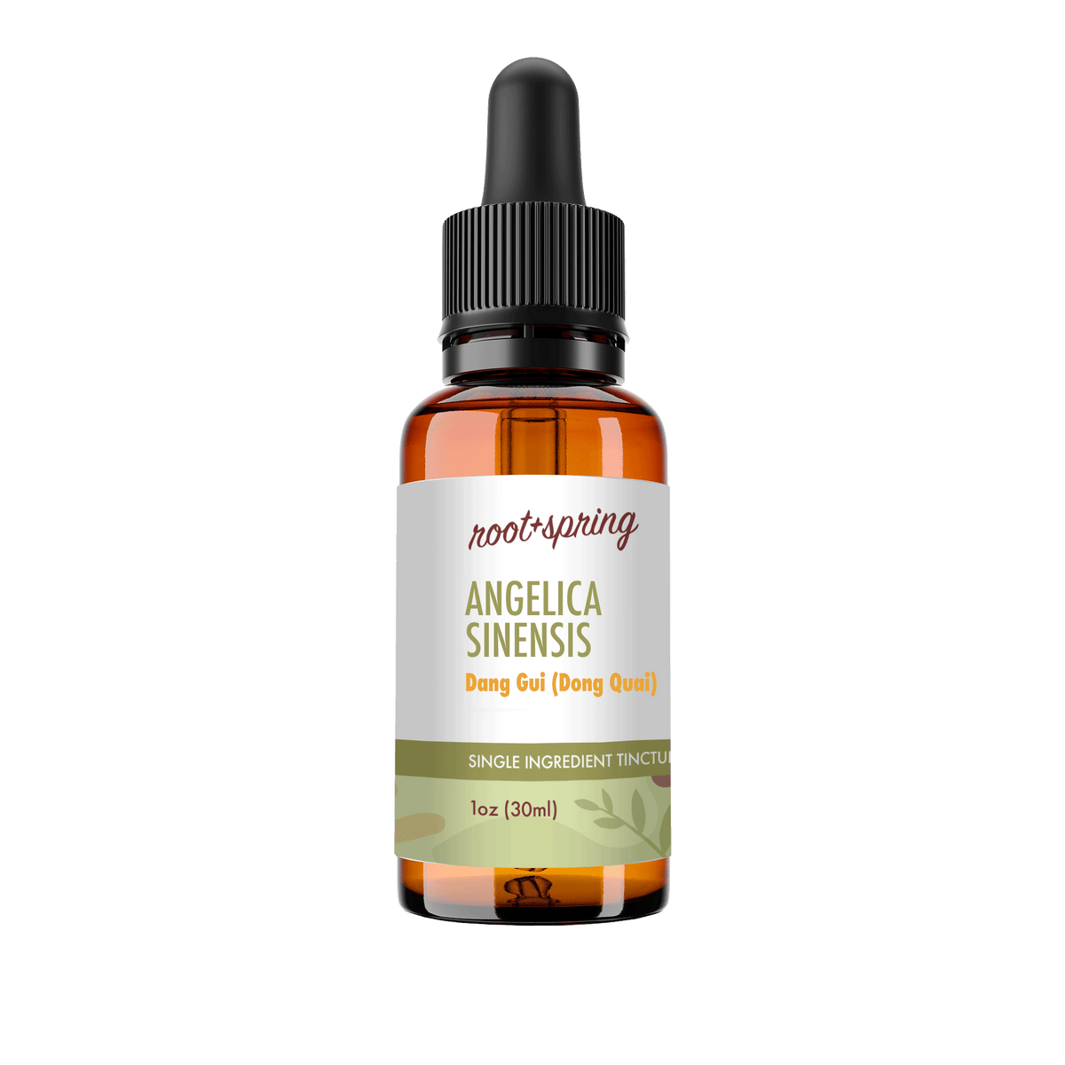 A 1 oz amber glass dropper bottle of Root+Spring Angelica Sinensis Tincture on a solid white background.