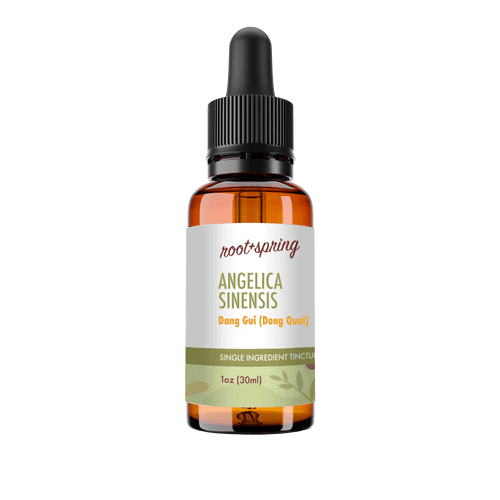 A 1 oz amber glass dropper bottle of Root+Spring Angelica Sinensis Tincture on a solid white background.