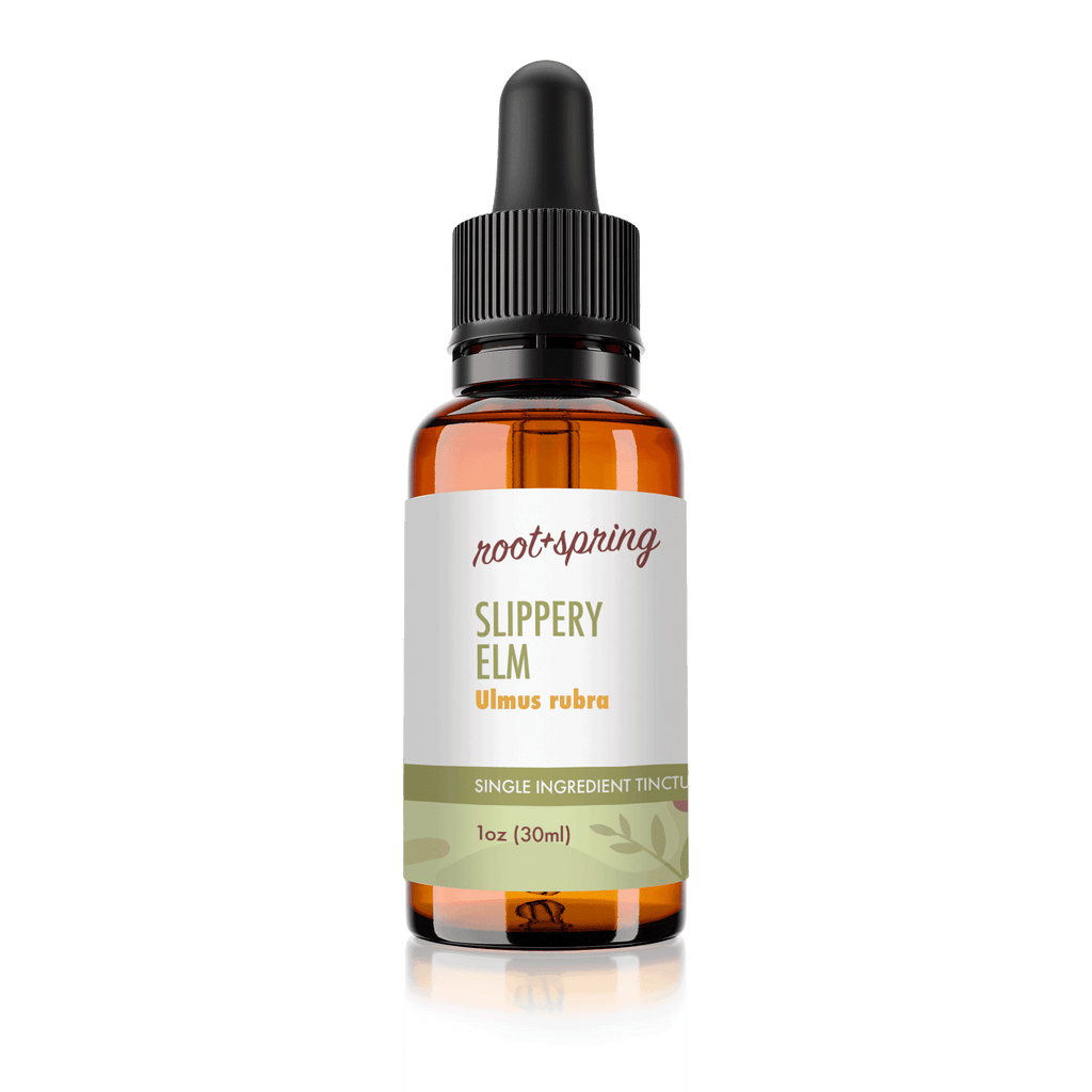 image of Slippery Elm (Ulmus Rubra) | Herbal Tincture