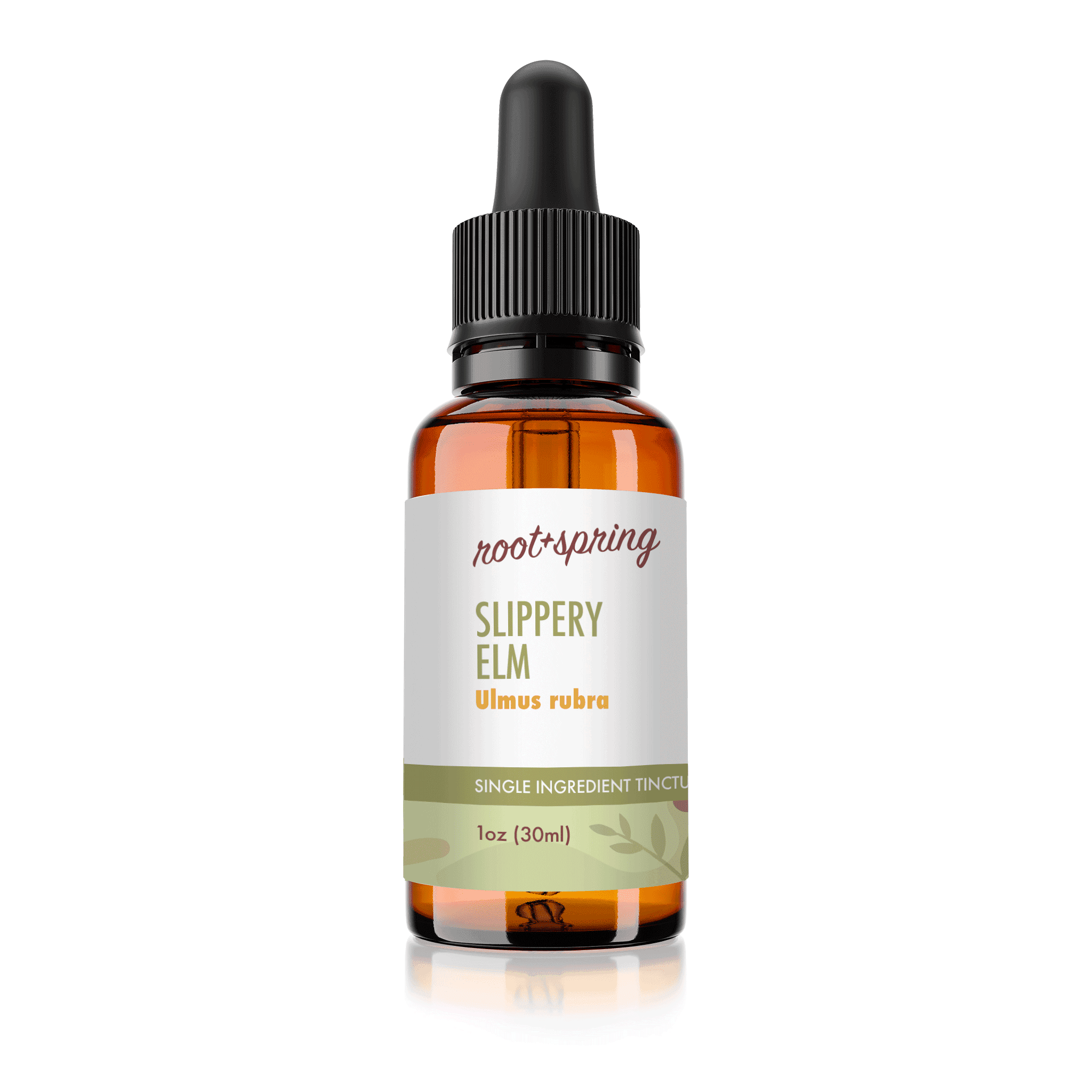 image of Slippery Elm (Ulmus Rubra) | Herbal Tincture