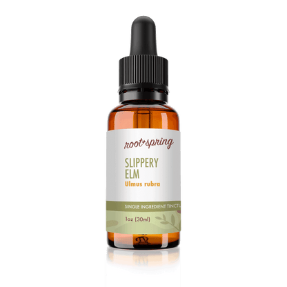 image of Slippery Elm (Ulmus Rubra) | Herbal Tincture