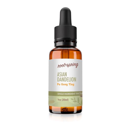 1 oz glass bottle of Asian Dandelion, or Pu Gong Ying, Herbal Tincture, by root + spring.
