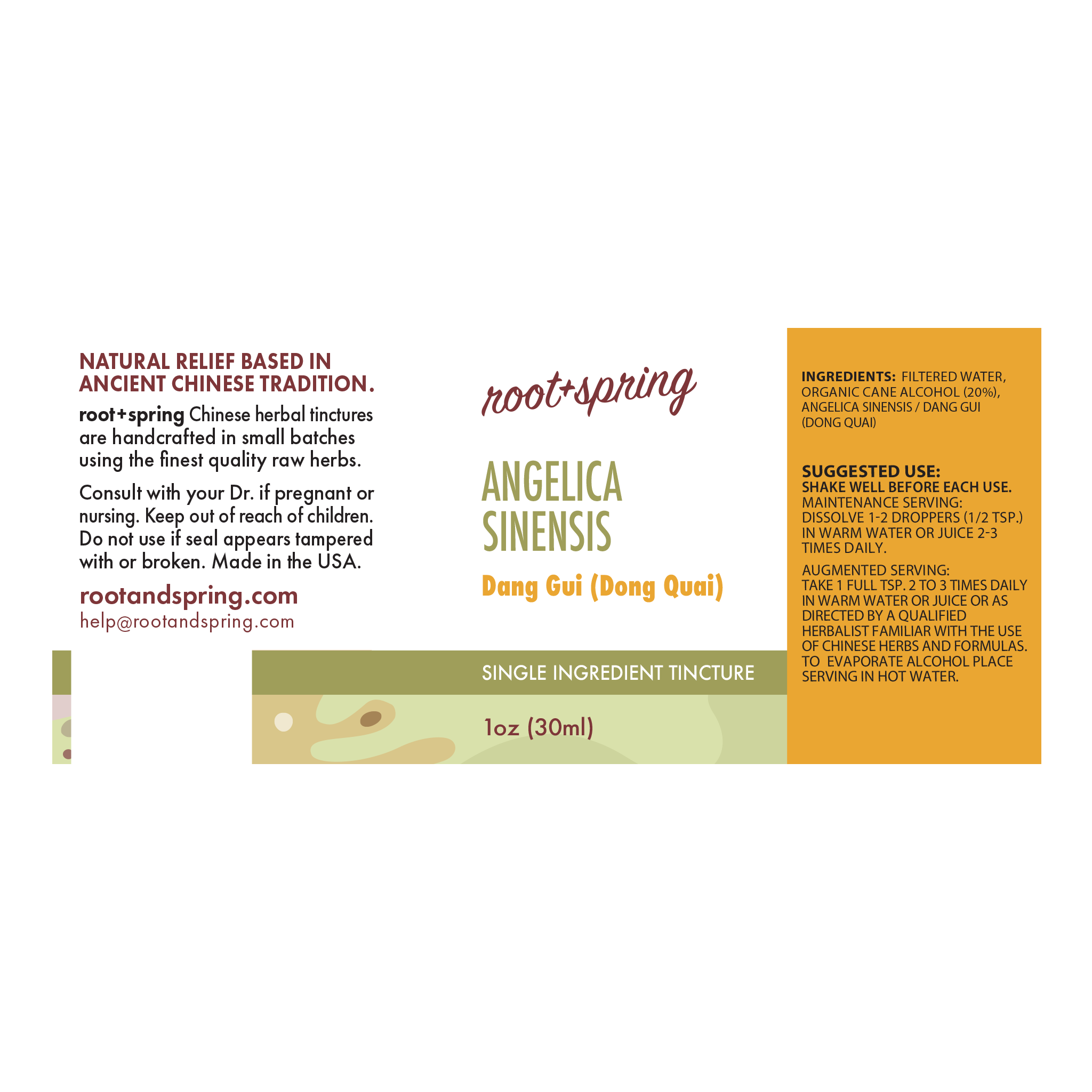 Front label of a Root + Spring Angelica Sinensis Deng Gui single ingredient tincture bottle, showing product details, ingredients, and usage instructions on a white background.