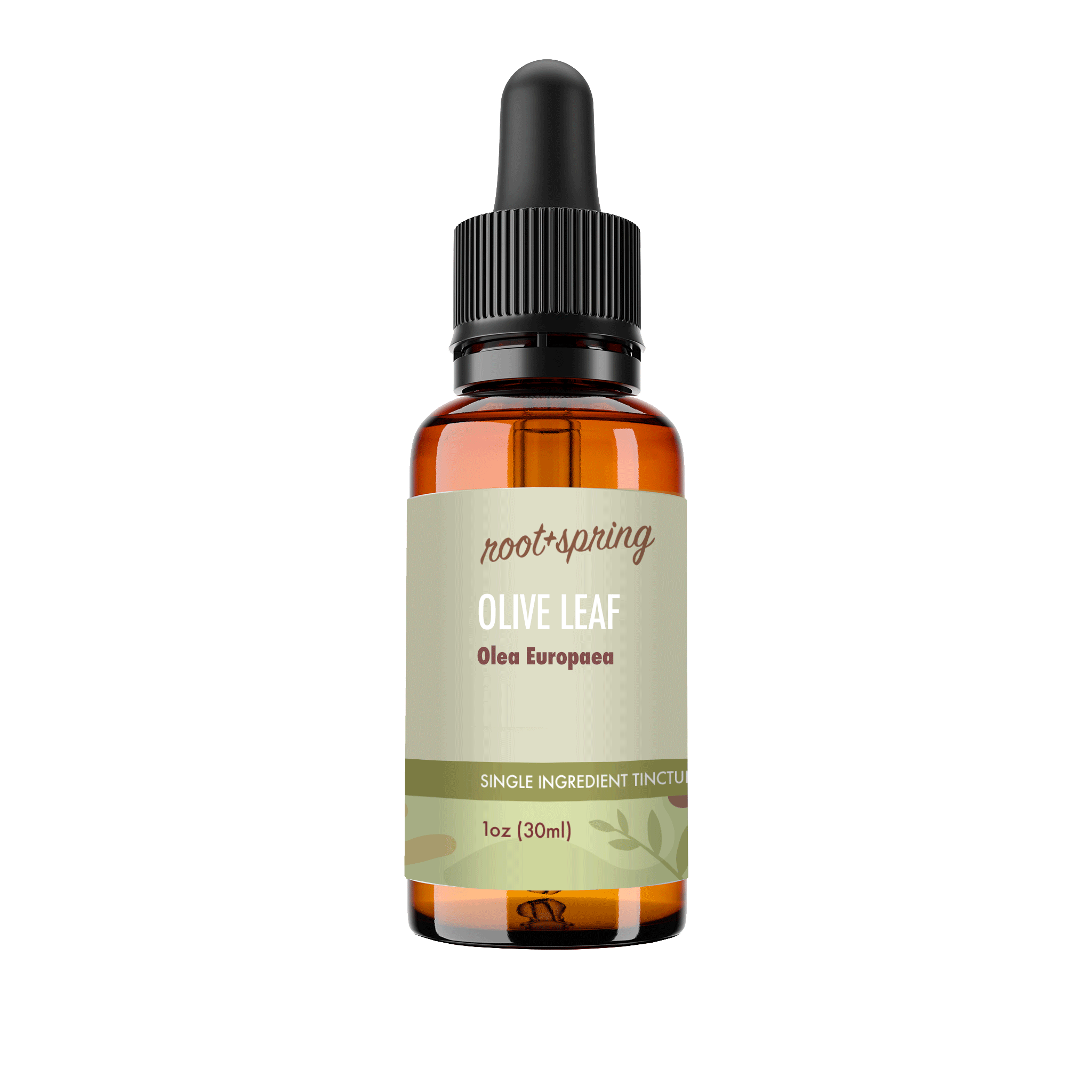 A 1 oz amber glass dropper bottle of Root+Spring Olive Leaf Olea Eurpaea  tincture, featuring a black dropper cap and a light sage green label with brown text, set against a plain white background.
