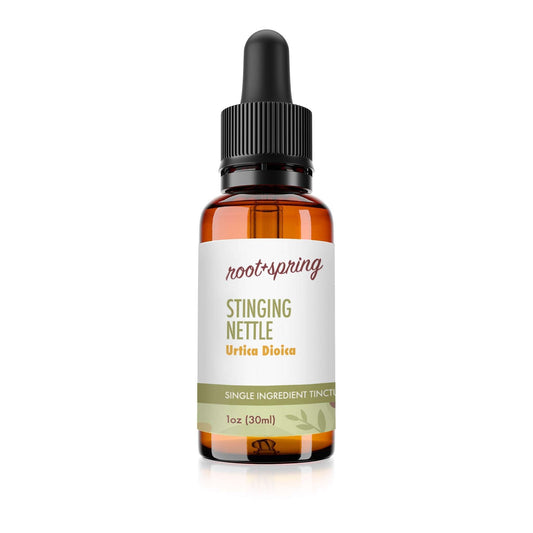 Bottle of Stinging Nettle (Urtica Dioica) Herbal Tincture by root + spring.