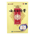 image of Injury Aid | Yunnan Baiyao Plasters | shoprootandspringoods.com