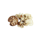 Image of ingredients for root + spring's Sweet Autumn Cooling (Liang Cha) Chinese Herbal Tea Mix .
